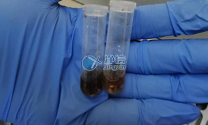 上海凈信高通量研磨儀能否助力蟲(chóng)媒病毒研究實(shí)驗(yàn)？