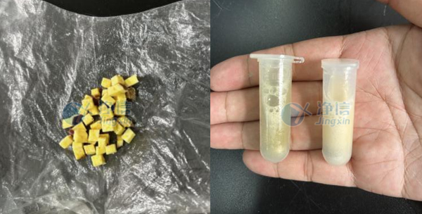 1744796008203724.jpg 4-16- 實驗案例底圖.jpg