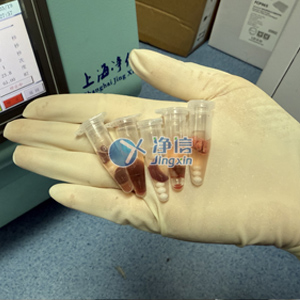 冷凍研磨儀對(duì)小鼠組織部位研磨實(shí)驗(yàn)案例