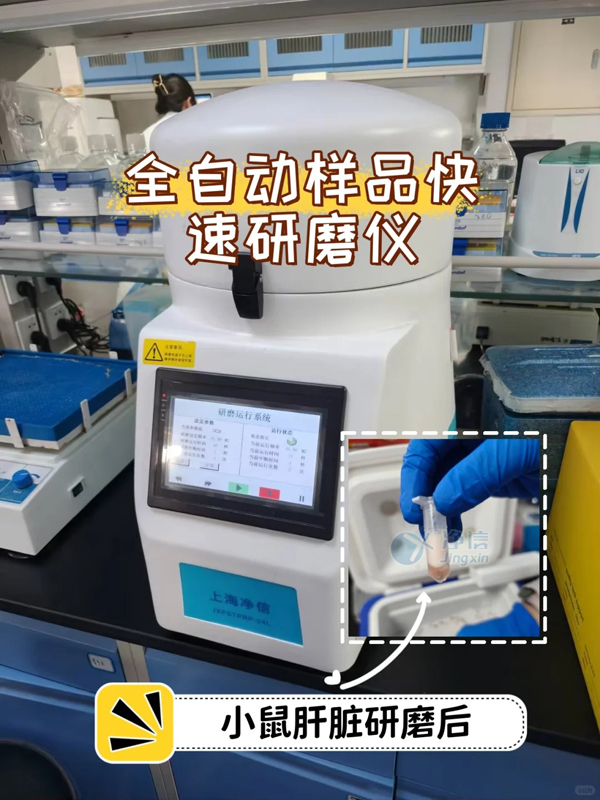 1750904638639713.jpg 全自動樣品快速研磨儀