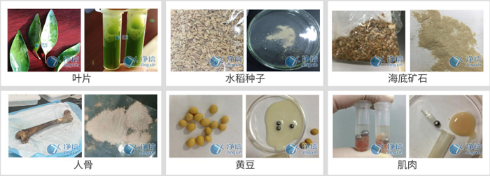 1773890074183001.png 761650461028.png