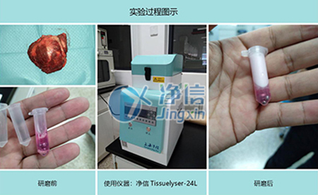 腫瘤組織研磨采用多樣品組織研磨機進行其實驗效果如何？