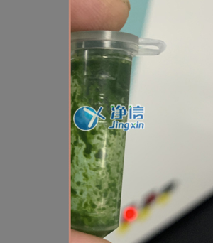 冷凍研磨儀在對(duì)甘蔗葉片提取DNA實(shí)驗(yàn)中研磨樣本效果如何？