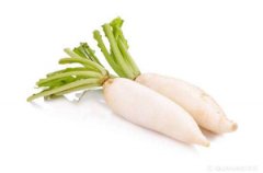 蘿卜提取DNA采用全自動(dòng)樣品快速研磨儀能得到什么結(jié)果？